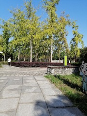 2560390