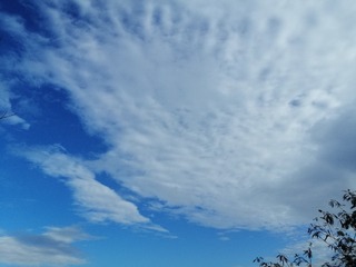 2724651