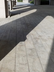 1000047250