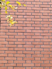 1000059337