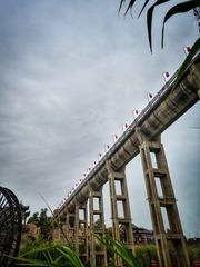 1000054377