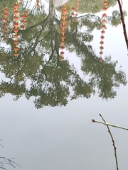 1000074310