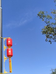 1000051271