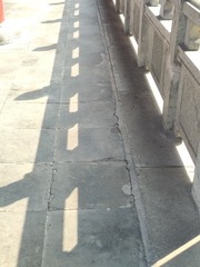 1000076084