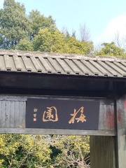 1000077636