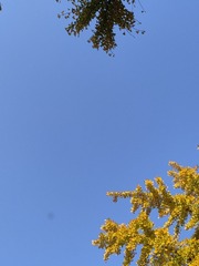 1000057669
