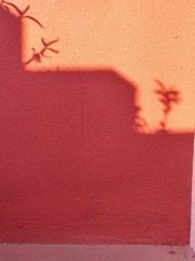 1000062365