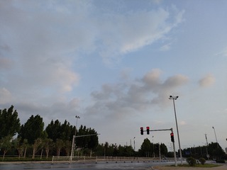 1000033957