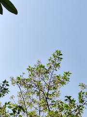 1000081569