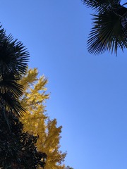 1000058939