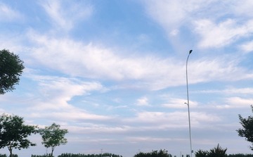17504