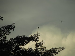 10122