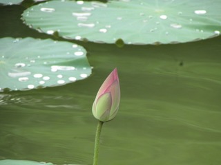 10043