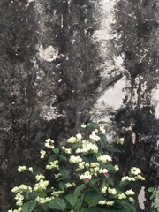 149031