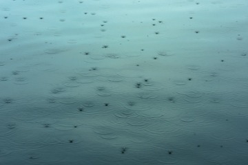 1000005161