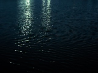 1000020535