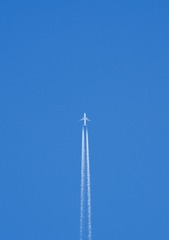 1000040616