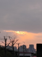 1000059717
