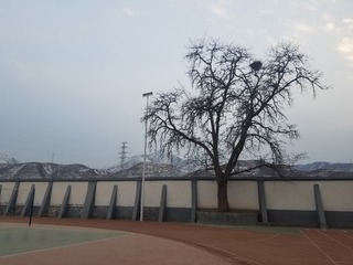 464518