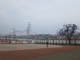 464515