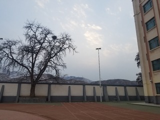 464517