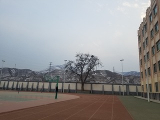 464519