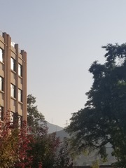 463596