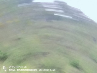 1000035352