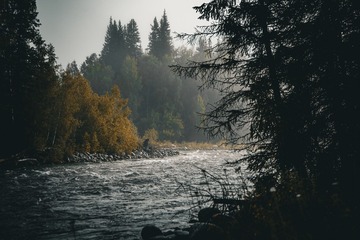 1000017938