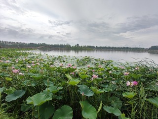 1000033541