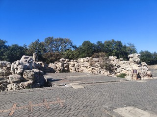 1000027670