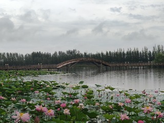 1000033544