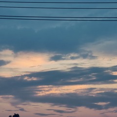 1000075214