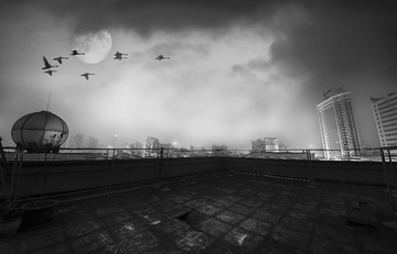 600_9411-Edit
