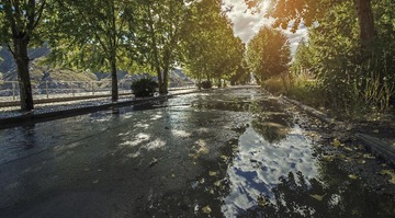 600_4959