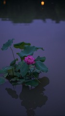 1000038169