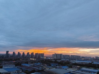 1000006779