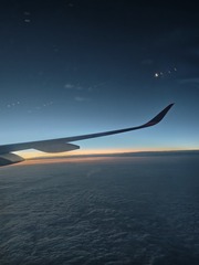 1000043637
