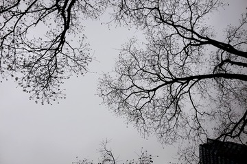 1001655424