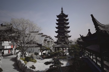 10295488