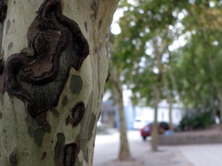 IMG_06649.jpg