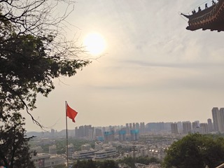 1000128164