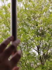 1000013419