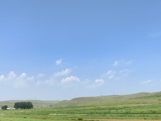 1000038567