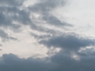 1000003531