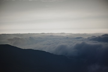 1000112244