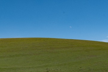 336796