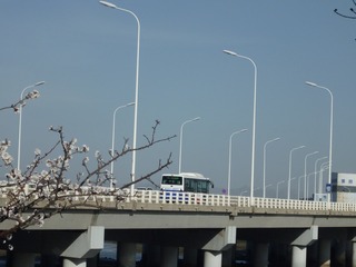 164041