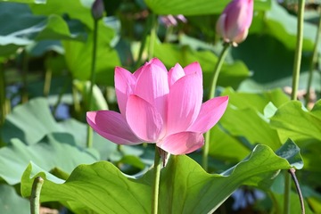 001