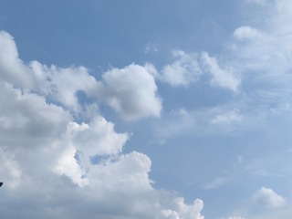 1000003191